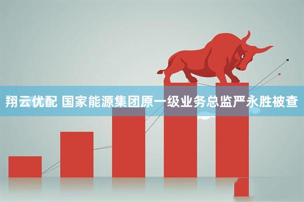 翔云优配 国家能源集团原一级业务总监严永胜被查