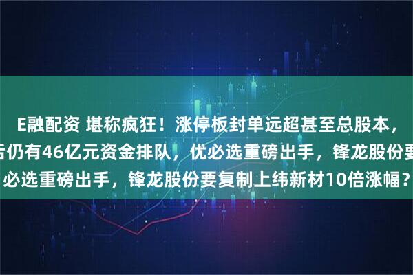 E融配资 堪称疯狂！涨停板封单远超甚至总股本，资金疯抢锋龙股份！午后仍有46亿元资金排队，优必选重磅出手，锋龙股份要复制上纬新材10倍涨幅？