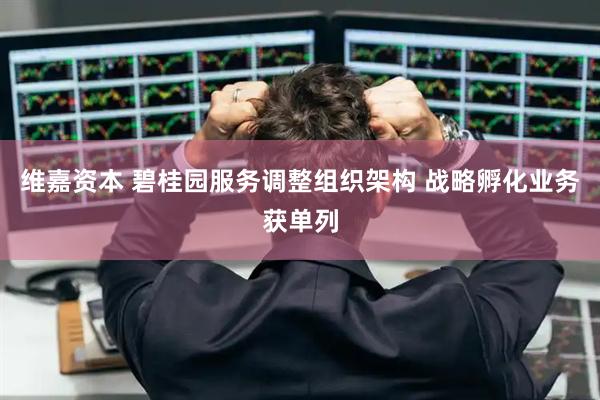 维嘉资本 碧桂园服务调整组织架构 战略孵化业务获单列